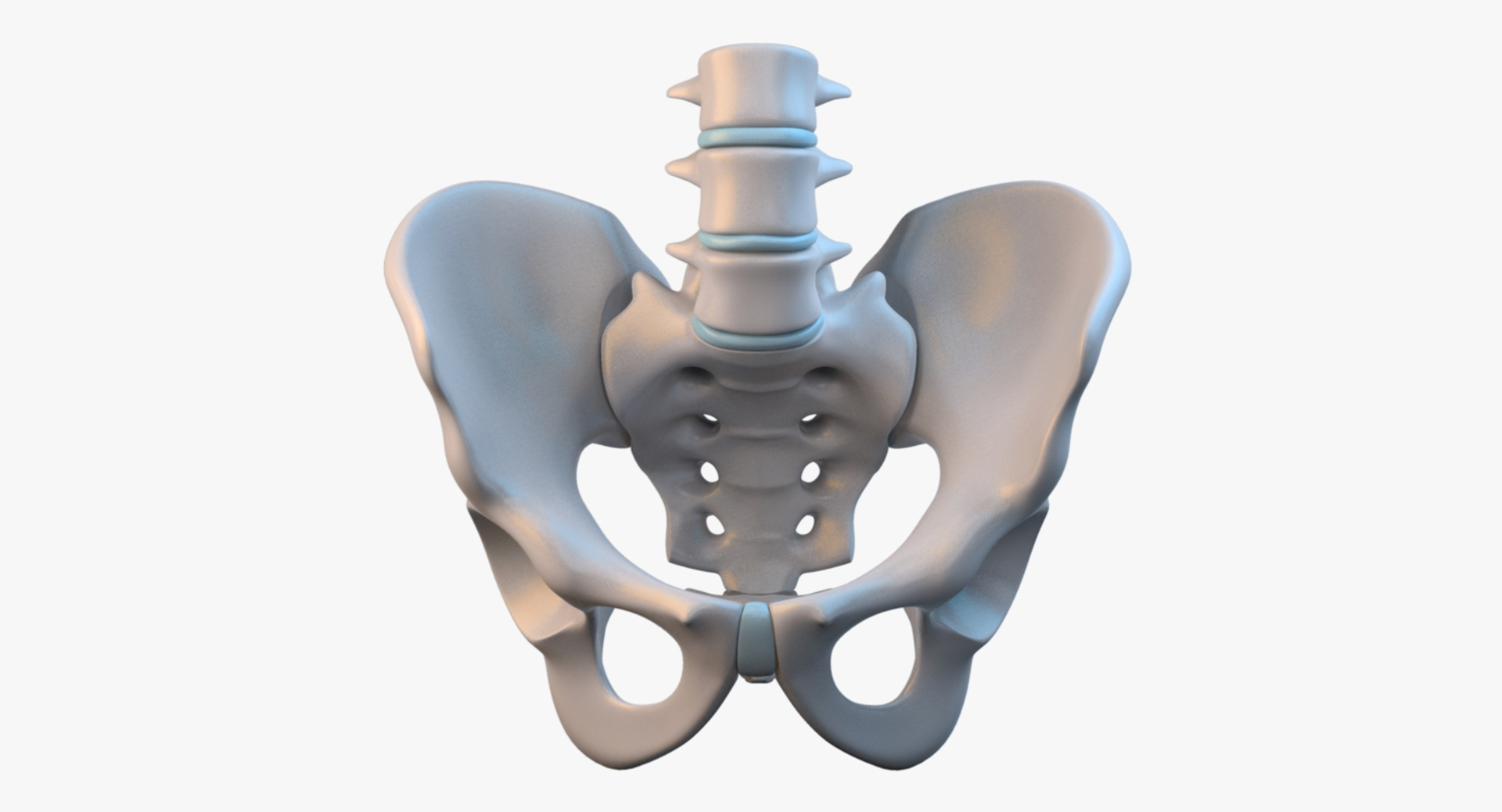 3ds max male details https://p.turbosquid.com/ts-thumb/td/b1ZijE/fXuR3WE5/00/jpg/1430698899/1920x1080/turn_fit_q99/e887f867f00eb584cded422f12edccf0e814f3dc/00-1.jpg