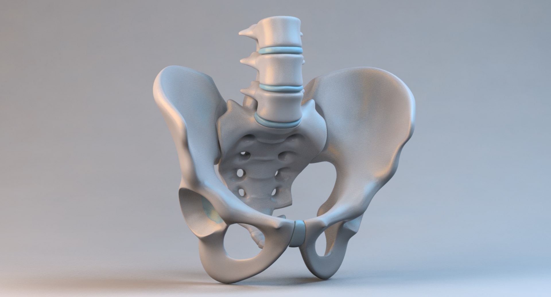3ds max male details https://p.turbosquid.com/ts-thumb/td/b1ZijE/s6LH73xj/male_pelvis_col_v01.3/png/1430698714/1920x1080/fit_q87/c4343d2e4dc9b212fbddb4a4cb4e6cd8b31ebe91/male_pelvis_col_v01.3.jpg