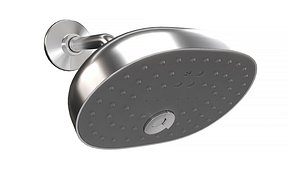 3D Statement Three-Function Showerhead