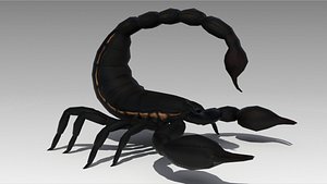 Black Scorpion