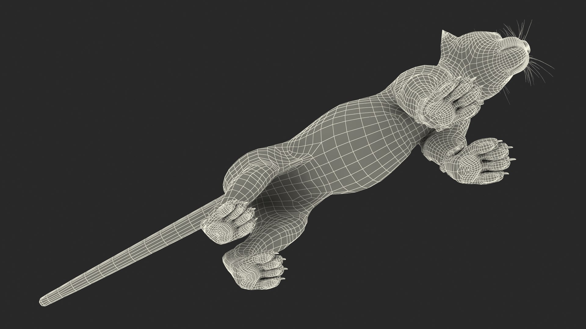 3D Snow Leopard Cub Fur For Maya Rigged - TurboSquid 2407471