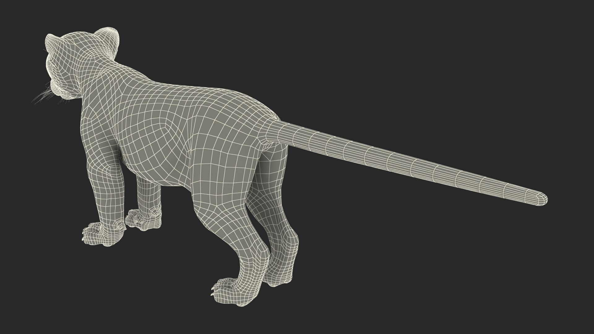 3D Snow Leopard Cub Fur For Maya Rigged - TurboSquid 2407471