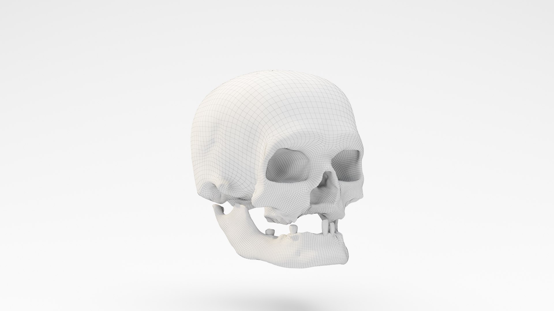3D human skull v2 model https://p.turbosquid.com/ts-thumb/te/9pmukT/wyULfaxs/wire_01/jpg/1607627318/1920x1080/fit_q87/4dbff85d25090fa583ad3e18f1be6e337ea20863/wire_01.jpg
