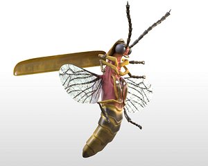 Firefly Insect Rigged
