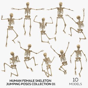 Human Female Skeleton Jumping Poses Collection 01 - 10 models 3D model