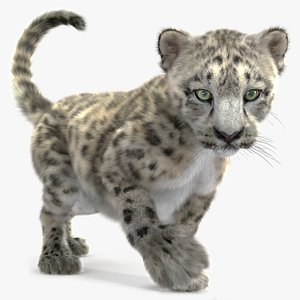 Snow Leopard Cub in Walking Pose Fur for Cinema 4D