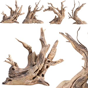 Driftwood 3D Model Collection Vol 330