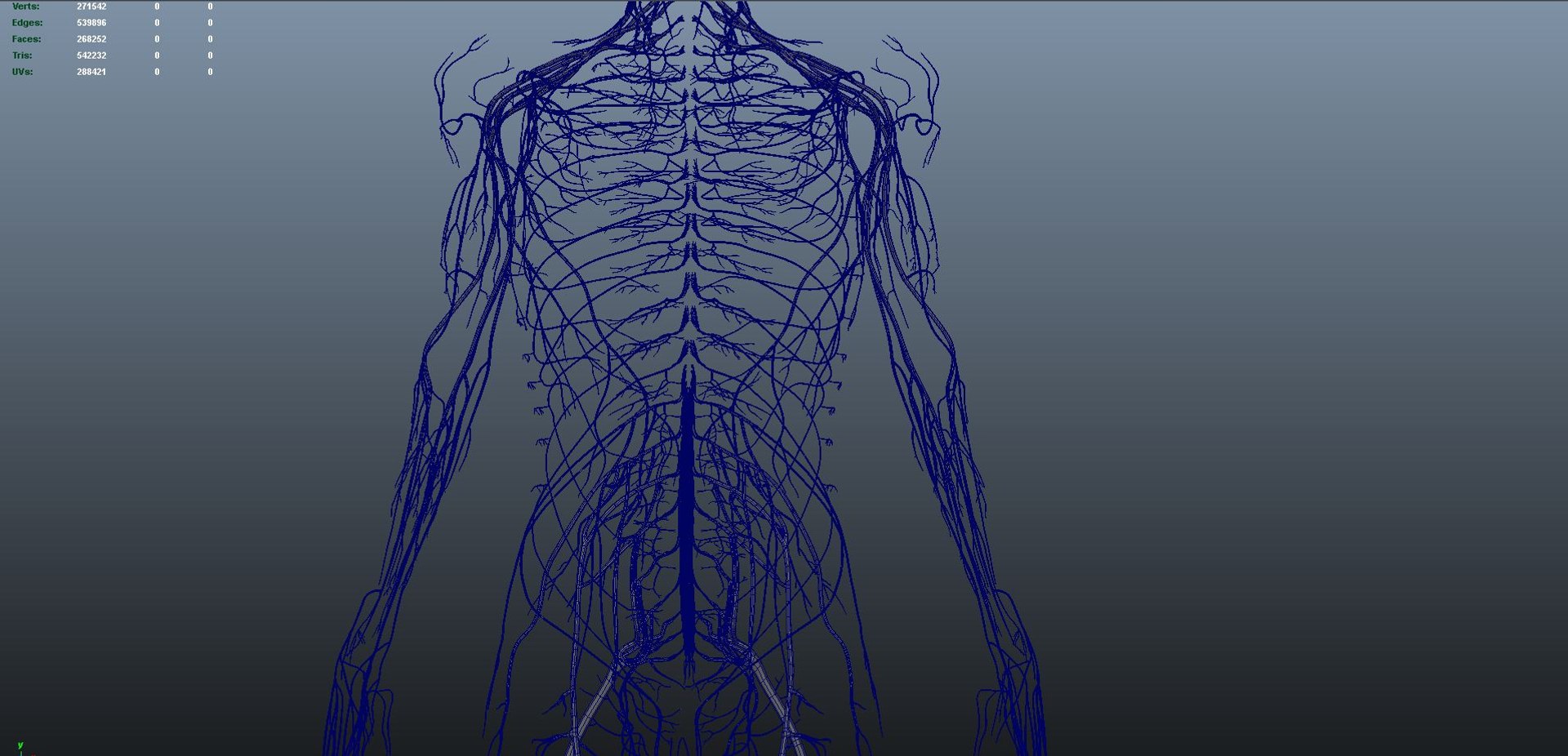 3D body skeleton arteries veins model https://p.turbosquid.com/ts-thumb/te/ZVMxDq/1MjqAuNV/s0016nerves_07/jpg/1526714869/1920x1080/fit_q87/f0e2ae2f2a3b11ee14e6cb7d9b26fb30c605e025/s0016nerves_07.jpg