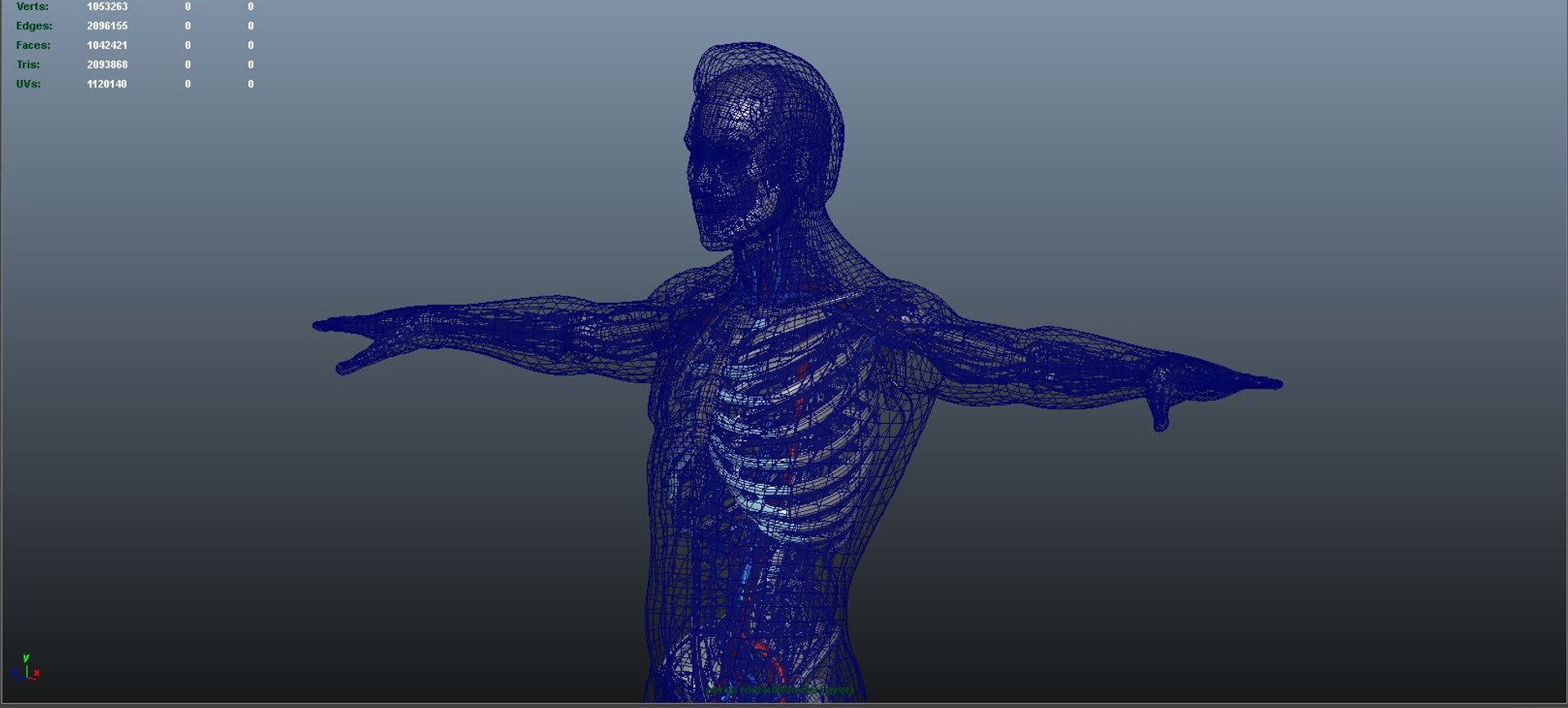3D body skeleton arteries veins model https://p.turbosquid.com/ts-thumb/te/ZVMxDq/1cbGA3jd/perspoff/jpg/1526335418/1920x1080/fit_q87/9ef91b7facd0f7b9f20add92df4f15d042caa20d/perspoff.jpg