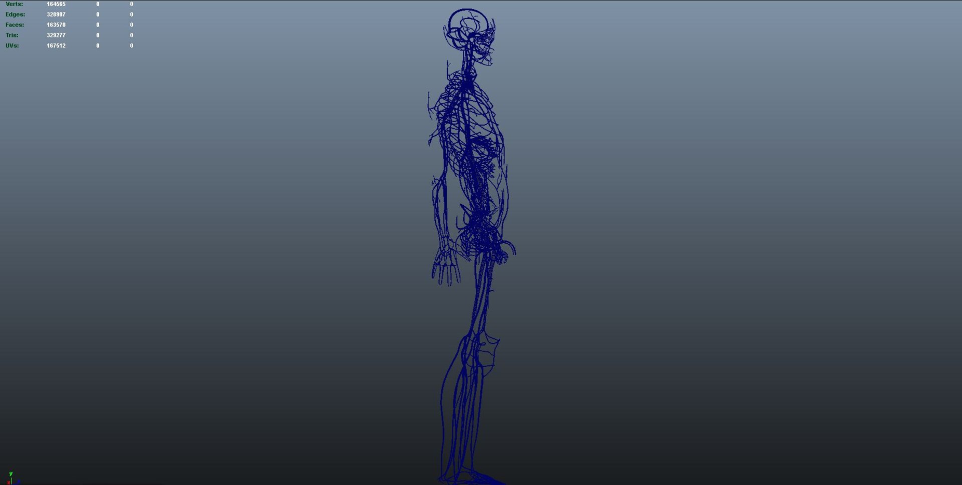 3D body skeleton arteries veins model https://p.turbosquid.com/ts-thumb/te/ZVMxDq/2KyNfiQF/veins_02/jpg/1526714990/1920x1080/fit_q87/cdb8393738a8f730efe6b04ec655d990877a05b1/veins_02.jpg