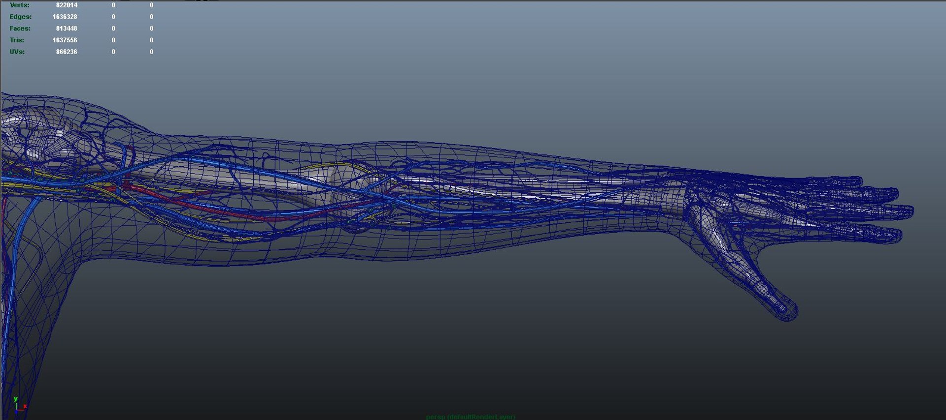 3D body skeleton arteries veins model https://p.turbosquid.com/ts-thumb/te/ZVMxDq/95KunvOH/hand/jpg/1526335418/1920x1080/fit_q87/52cd70e050ad7ed10a053392385eddaf1aef4347/hand.jpg
