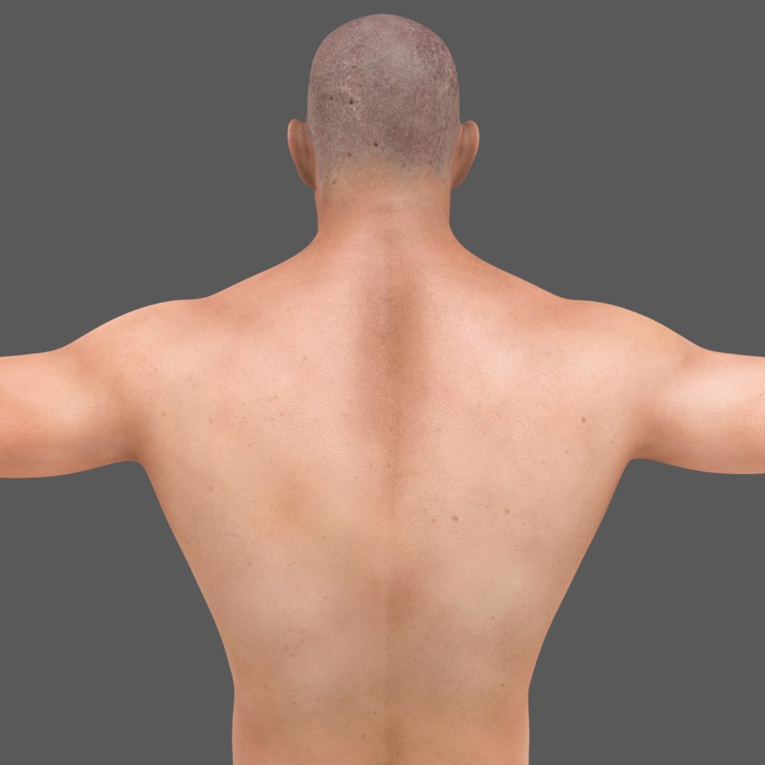 3D body skeleton arteries veins model https://p.turbosquid.com/ts-thumb/te/ZVMxDq/FUIiNKmh/4/jpg/1526538089/1920x1080/fit_q87/90b167d073237149bd43cfb8fa79d8df8d849a25/4.jpg