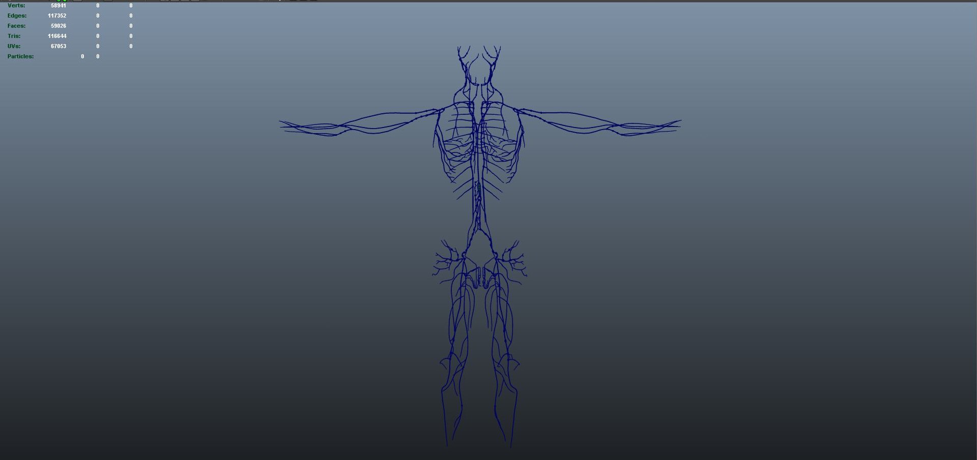 3D body skeleton arteries veins model https://p.turbosquid.com/ts-thumb/te/ZVMxDq/I3Aaxihd/lympnode01/jpg/1526715143/1920x1080/fit_q87/18d85254a815295858da0e9b8689e7b97525ed22/lympnode01.jpg