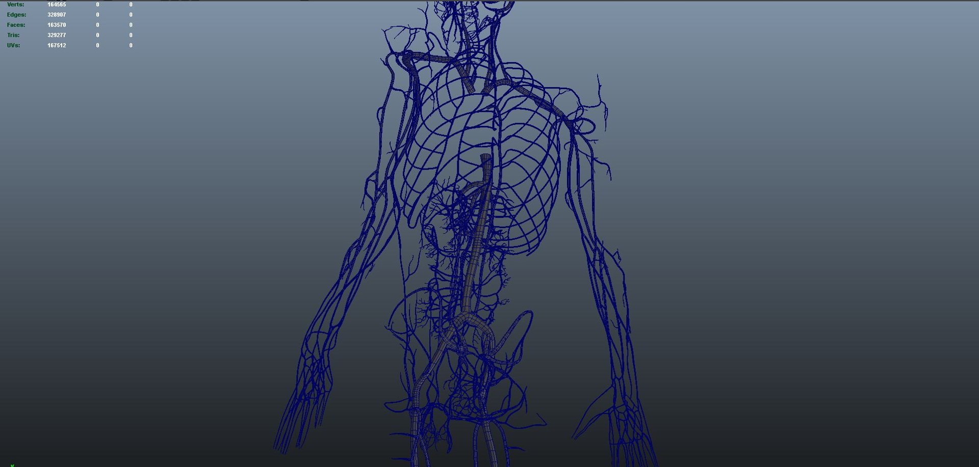 3D body skeleton arteries veins model https://p.turbosquid.com/ts-thumb/te/ZVMxDq/McNBh44r/veins_07/jpg/1526714990/1920x1080/fit_q87/e9a3ca4a6a6d00888c0934f30002684461adf2ef/veins_07.jpg