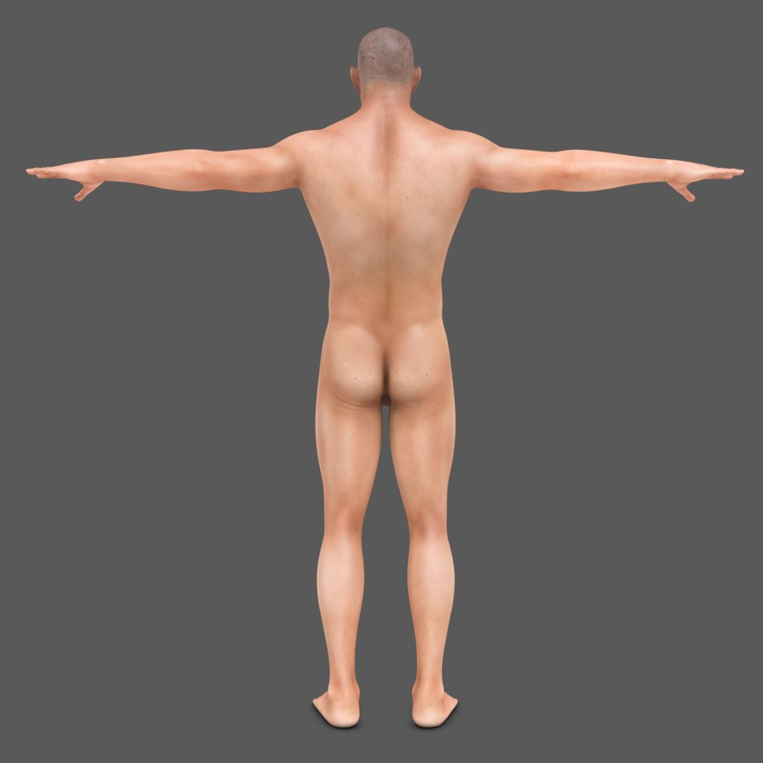 3D body skeleton arteries veins model https://p.turbosquid.com/ts-thumb/te/ZVMxDq/NbRh5qo5/2/jpg/1526538089/1920x1080/fit_q87/926617ec5309ff039a8b951b70269a289c409ca5/2.jpg