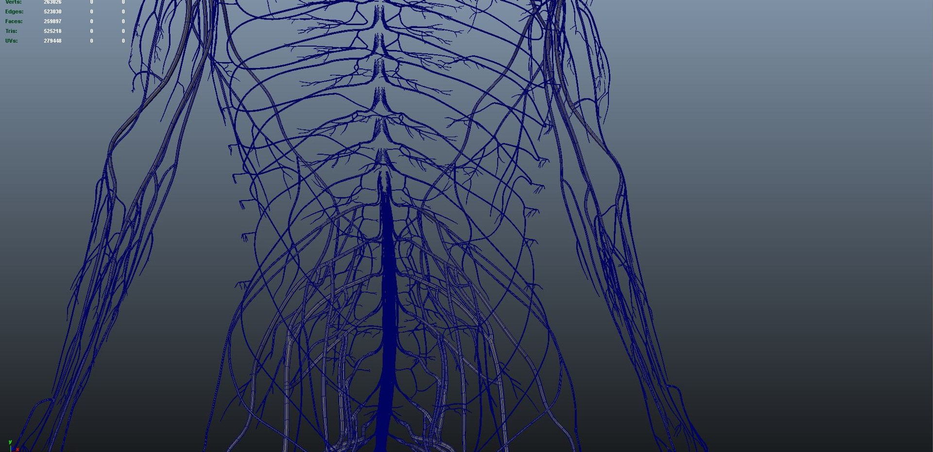 3D body skeleton arteries veins model https://p.turbosquid.com/ts-thumb/te/ZVMxDq/OkrwYD22/s0016nerves_10/jpg/1526714869/1920x1080/fit_q87/14c82ed05da4e6aef441b5ad389583139e41c030/s0016nerves_10.jpg