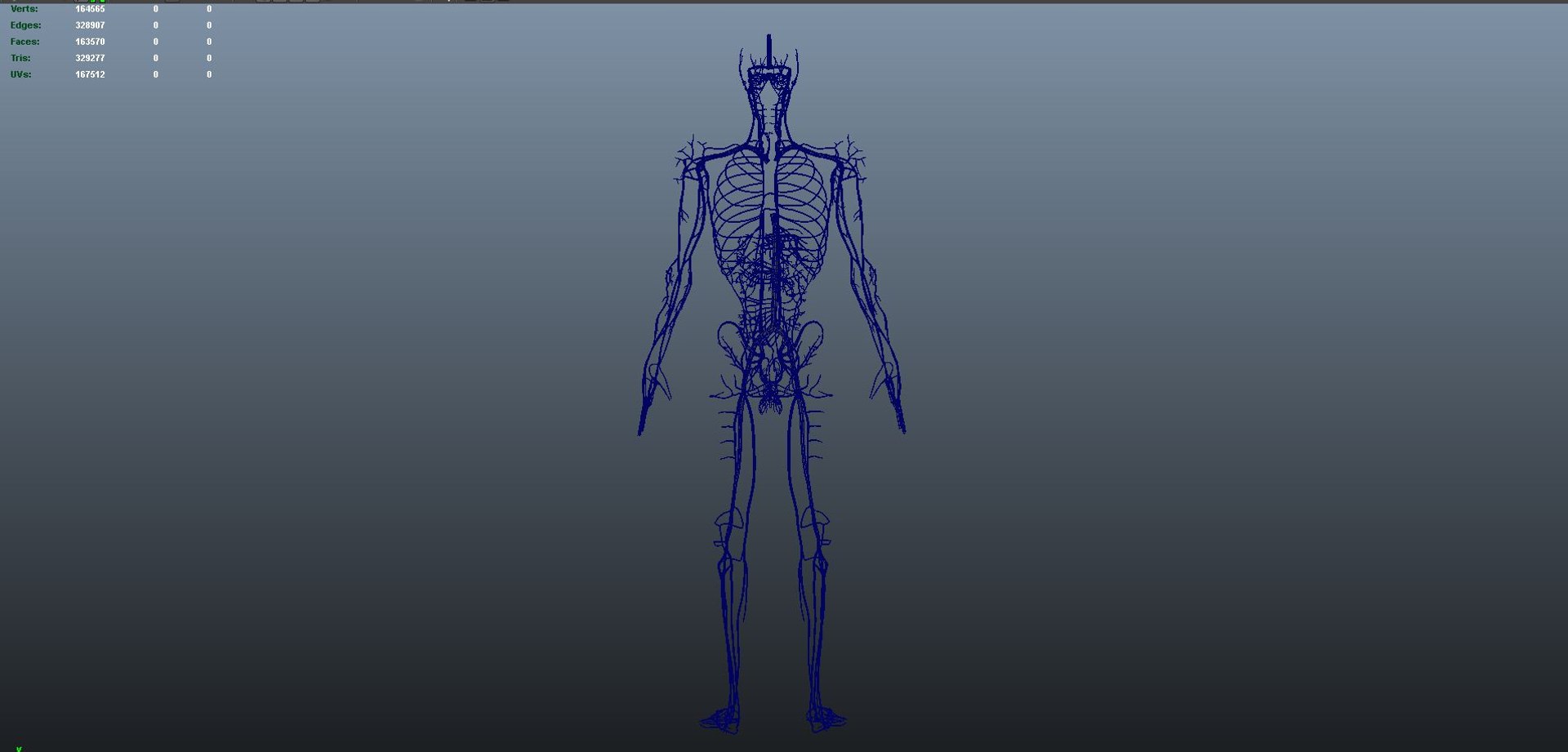 3D body skeleton arteries veins model https://p.turbosquid.com/ts-thumb/te/ZVMxDq/QGw5o1wi/veins_03/jpg/1526714990/1920x1080/fit_q87/1d79a76095c6e69a8ff147056eec20104aa291a5/veins_03.jpg