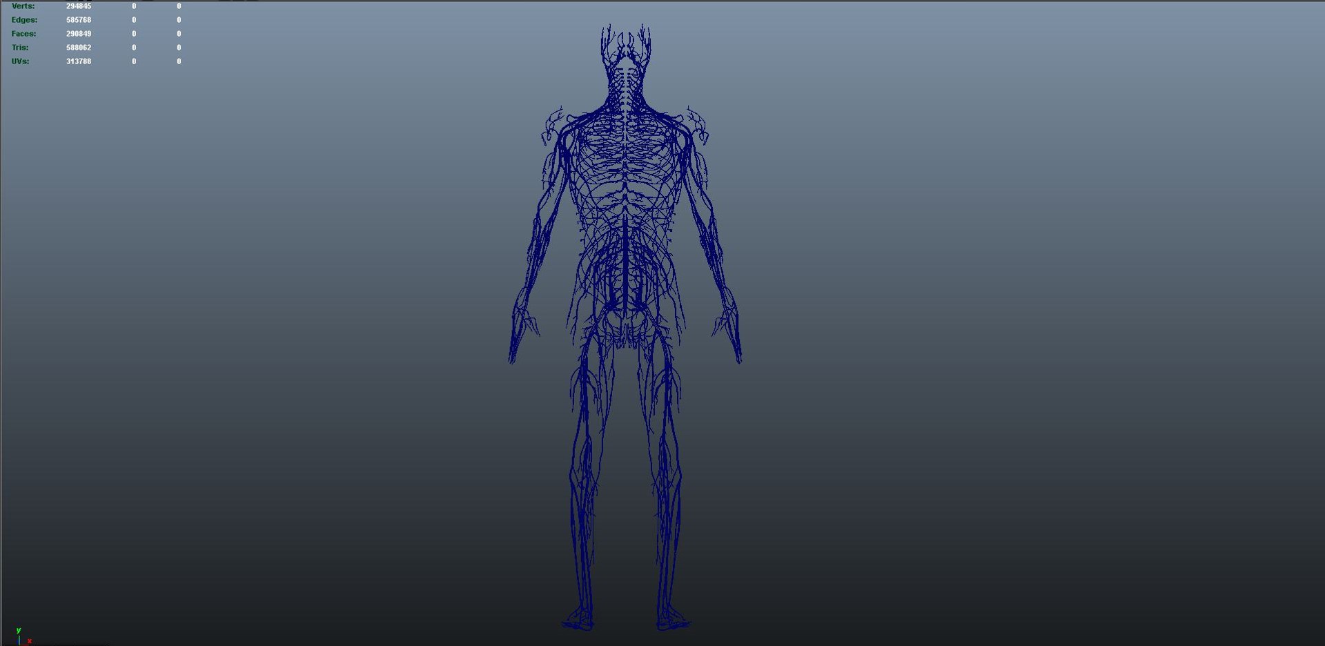3D body skeleton arteries veins model https://p.turbosquid.com/ts-thumb/te/ZVMxDq/Uvo9mWIP/s0016nerves_03/jpg/1526714869/1920x1080/fit_q87/84ed959f08547d7b6a1e423f091380216c22c572/s0016nerves_03.jpg