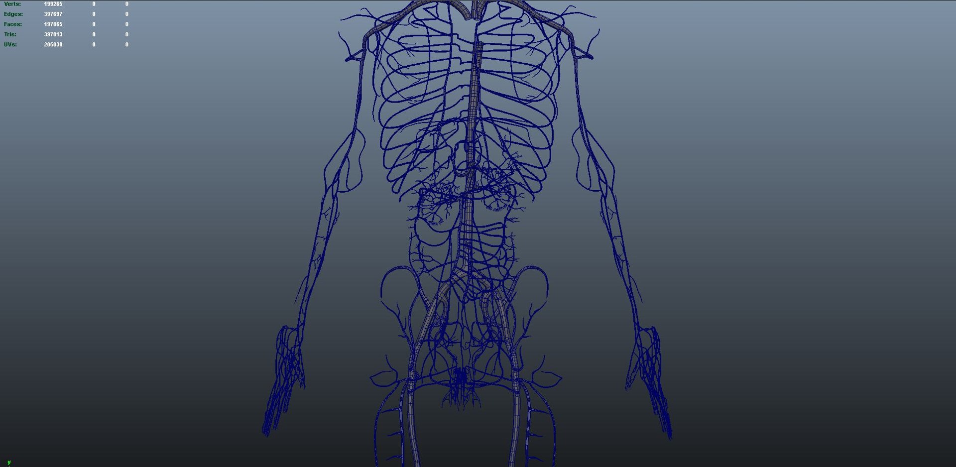 3D body skeleton arteries veins model https://p.turbosquid.com/ts-thumb/te/ZVMxDq/XwaApJS2/arteries_wire_05/jpg/1526715077/1920x1080/fit_q87/4e14f354ff91b1b0ce09e37a539707c8b00ec031/arteries_wire_05.jpg