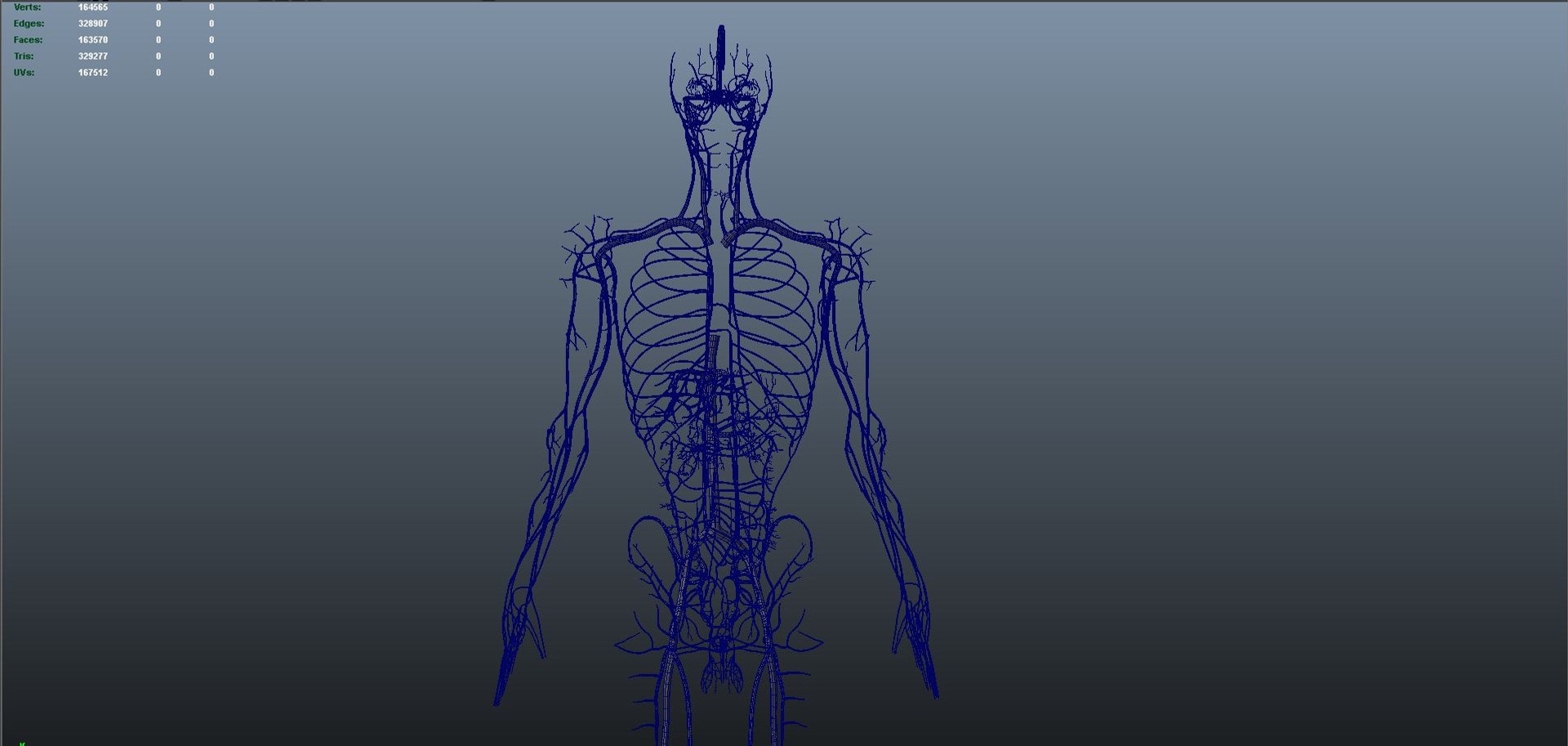 3D body skeleton arteries veins model https://p.turbosquid.com/ts-thumb/te/ZVMxDq/dQoCltFO/veins_04/jpg/1526714990/1920x1080/fit_q87/453b52afe82a938a0e180d86b18beaa9bd4aec66/veins_04.jpg