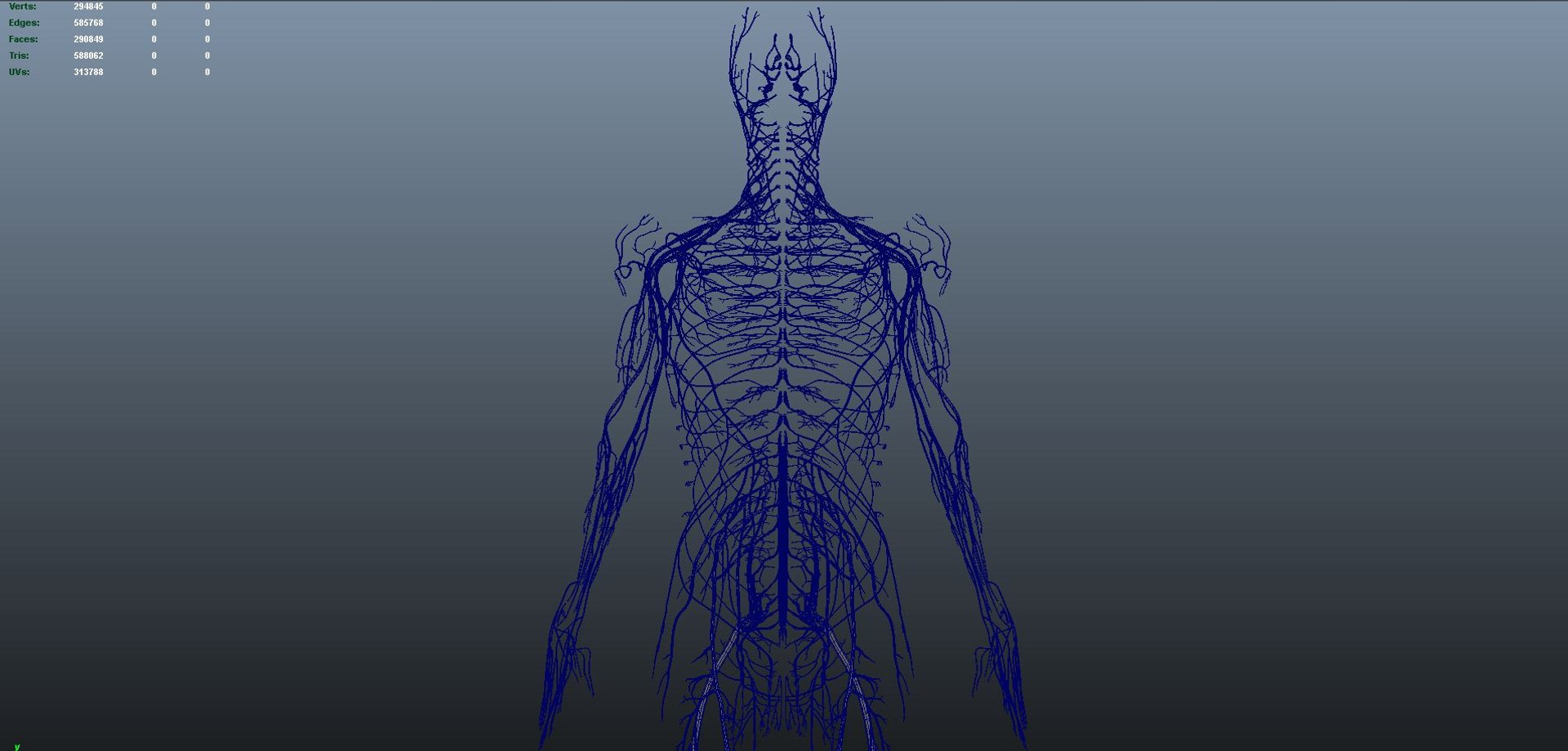 3D body skeleton arteries veins model https://p.turbosquid.com/ts-thumb/te/ZVMxDq/ff7nKJut/s0016nerves_04/jpg/1526714869/1920x1080/fit_q87/3e313b1e0ac7c0fb73859c162081a35dceadee41/s0016nerves_04.jpg