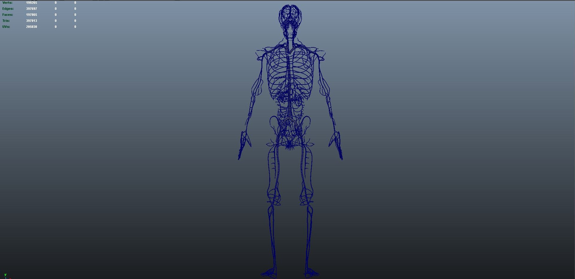 3D body skeleton arteries veins model https://p.turbosquid.com/ts-thumb/te/ZVMxDq/jflr5Yvi/arteries_wire_03/jpg/1526715077/1920x1080/fit_q87/4b3fc884dea8f3e9f7a027dc9a39c661b1c8076a/arteries_wire_03.jpg