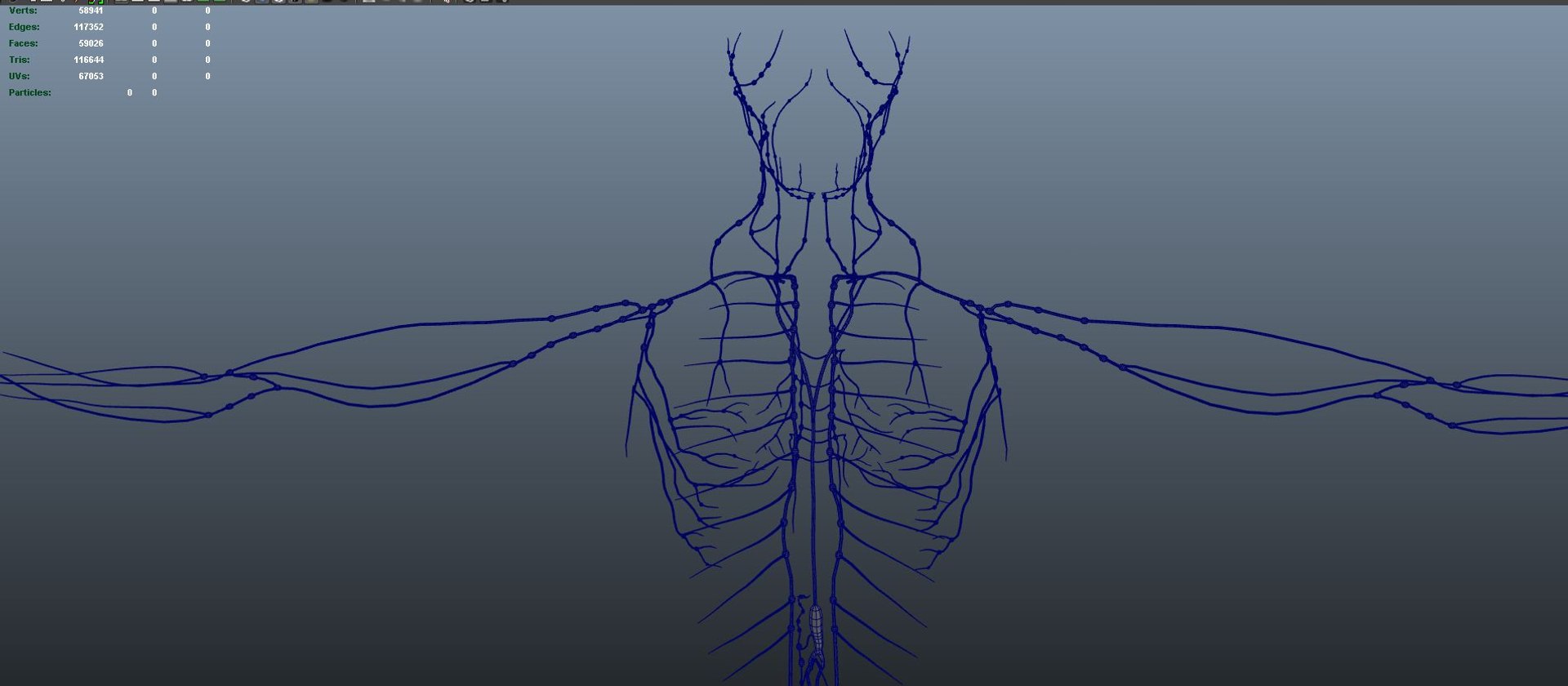 3D body skeleton arteries veins model https://p.turbosquid.com/ts-thumb/te/ZVMxDq/u7jqvk5Y/lympnode02/jpg/1526715143/1920x1080/fit_q87/28db0b86ceb0c6bd18659424ab28dbce42512f31/lympnode02.jpg