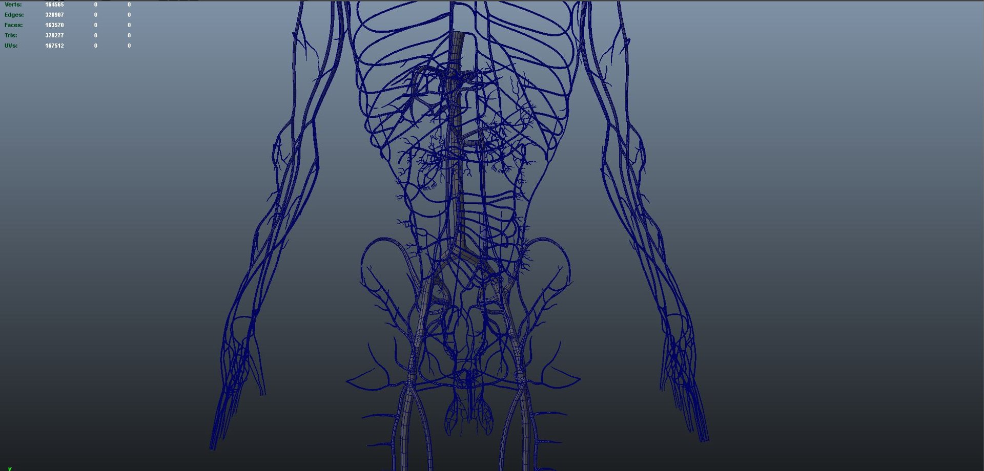 3D body skeleton arteries veins model https://p.turbosquid.com/ts-thumb/te/ZVMxDq/vItIfg5l/veins_05/jpg/1526714990/1920x1080/fit_q87/66f93cd8a0d494e718ee918759bcd98d3bcb6e29/veins_05.jpg