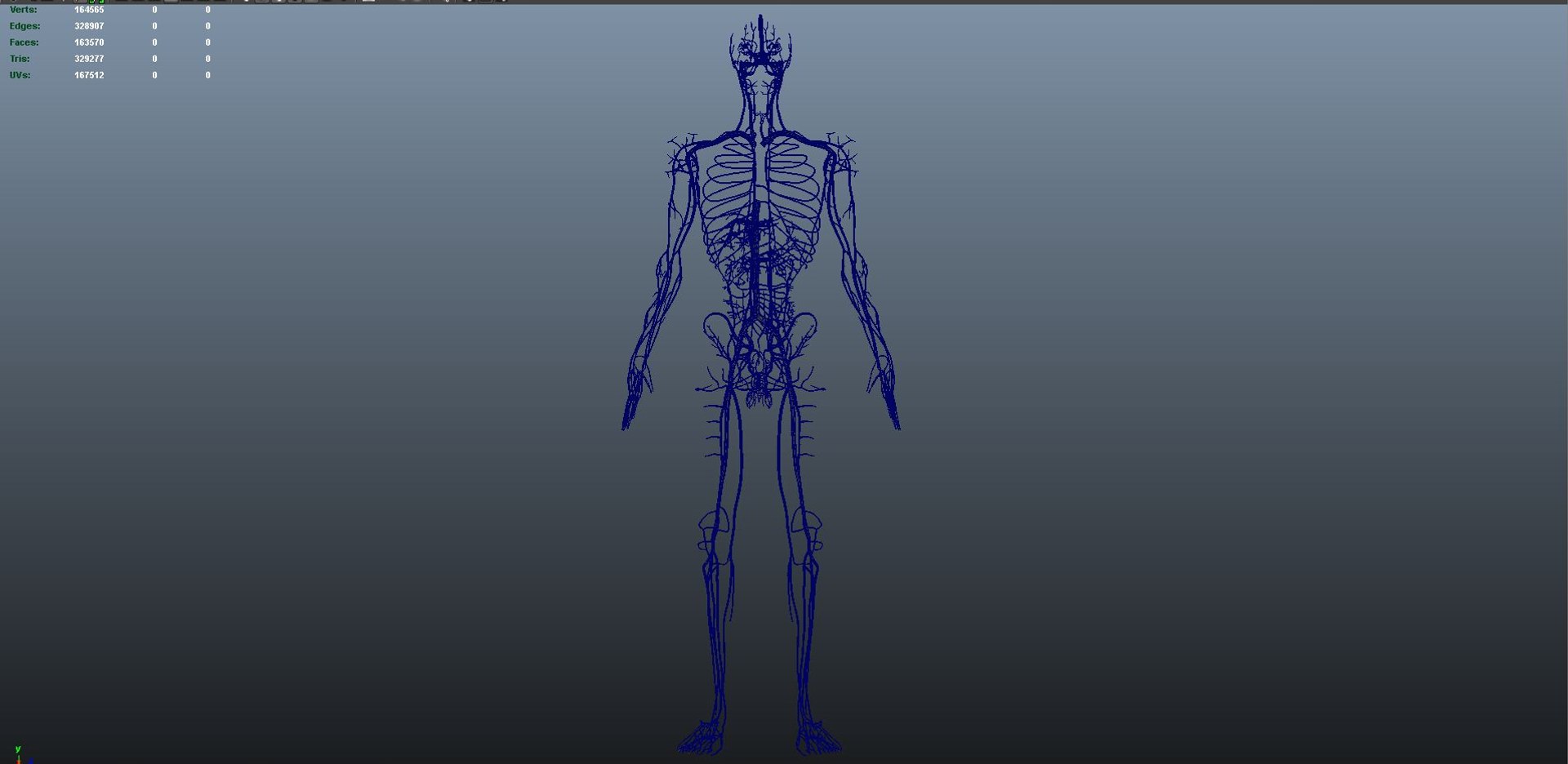 3D body skeleton arteries veins model https://p.turbosquid.com/ts-thumb/te/ZVMxDq/zZtylAYZ/veins_01/jpg/1526714990/1920x1080/fit_q87/14b213e7a314e3269a9df52a7ec6c1ef90c84f88/veins_01.jpg