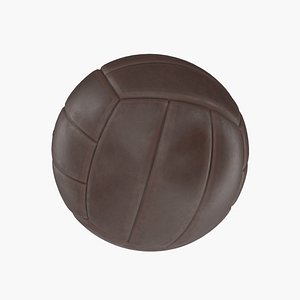 Volleyball Ball