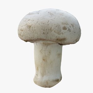 Champignon Mushroom 02 3D model