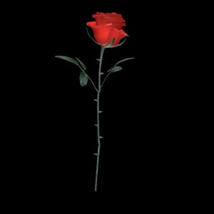 red rose obj