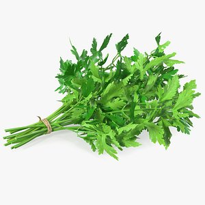 Bunch of Parsley 3D