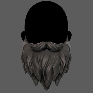 Beard V30