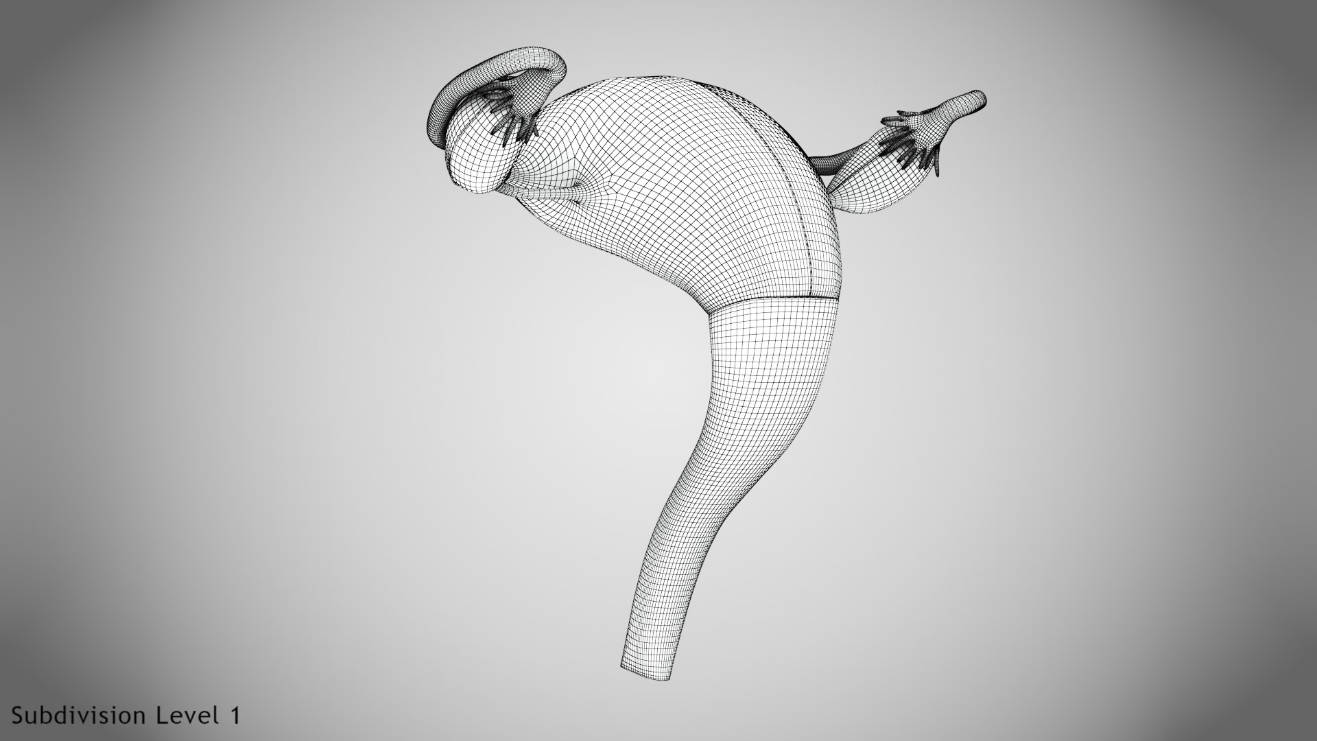3D Uterus with anatomic cut model https://p.turbosquid.com/ts-thumb/tf/3NxIXu/0y/wire0004/jpg/1643645565/1920x1080/fit_q87/a80ac868e3b7a2678880fe913f6fde148d4887f9/wire0004.jpg