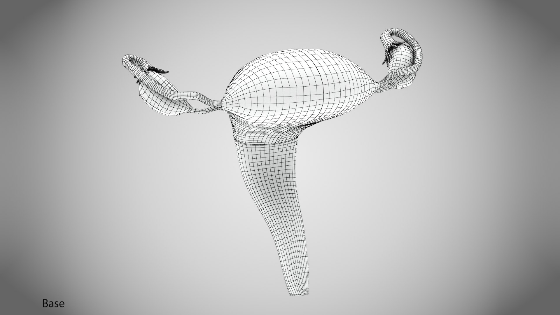 3D Uterus with anatomic cut model https://p.turbosquid.com/ts-thumb/tf/3NxIXu/Hv/wire0001copy/jpg/1643645565/1920x1080/fit_q87/50c55a21cf00fa92da9b60d94bccf42acc92d44d/wire0001copy.jpg