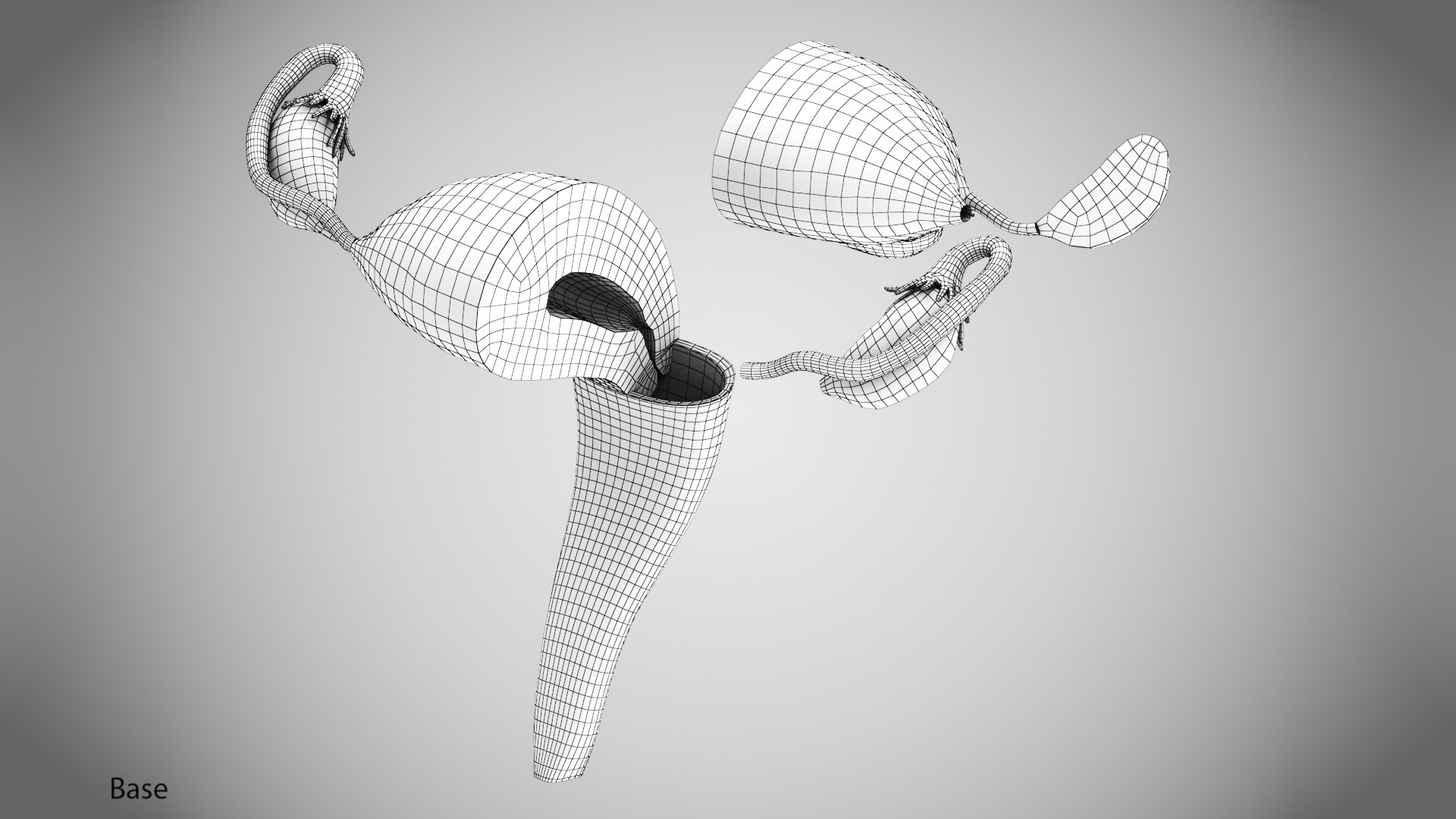 3D Uterus with anatomic cut model https://p.turbosquid.com/ts-thumb/tf/3NxIXu/zo/wire0006copy/jpg/1643645565/1920x1080/fit_q87/89a4c55b7c84761ac1f822353ea15cf7af4317a2/wire0006copy.jpg