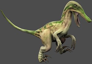 Velociraptor