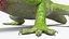 Réptil anolis verde rastejando, animado e com rigging para Maya.