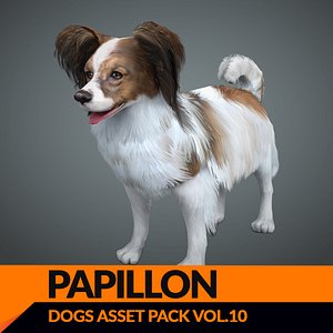 Real-Time Dog Papillon