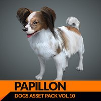 Real-Time Dog Papillon