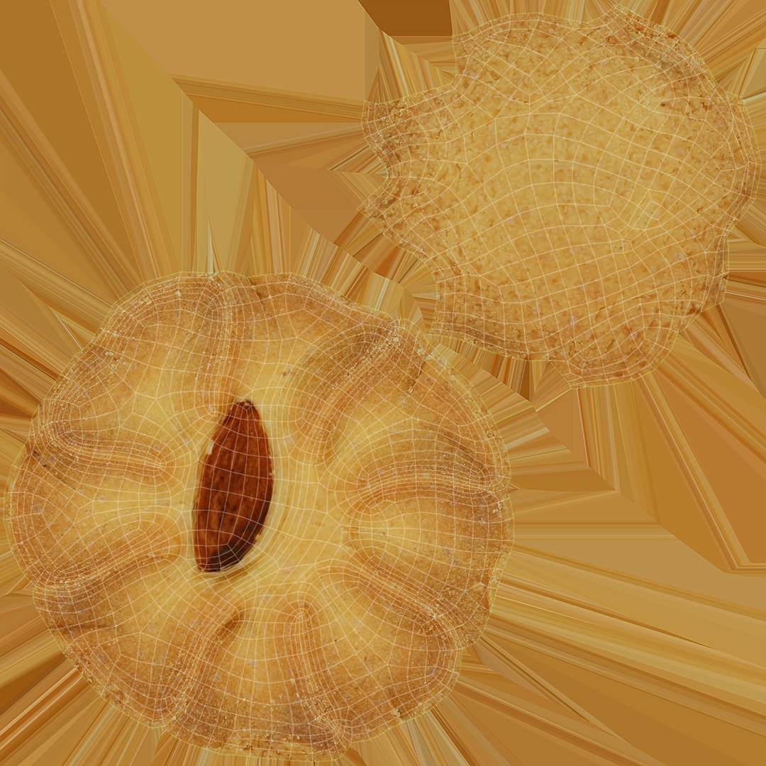 3D model shortbread cookie almond https://p.turbosquid.com/ts-thumb/tf/UXjSHr/bR/lemon_rr_34/jpg/1616762446/1920x1080/fit_q87/c3c7273f9601c99005ffe470a4dbb7a16a177d7f/lemon_rr_34.jpg