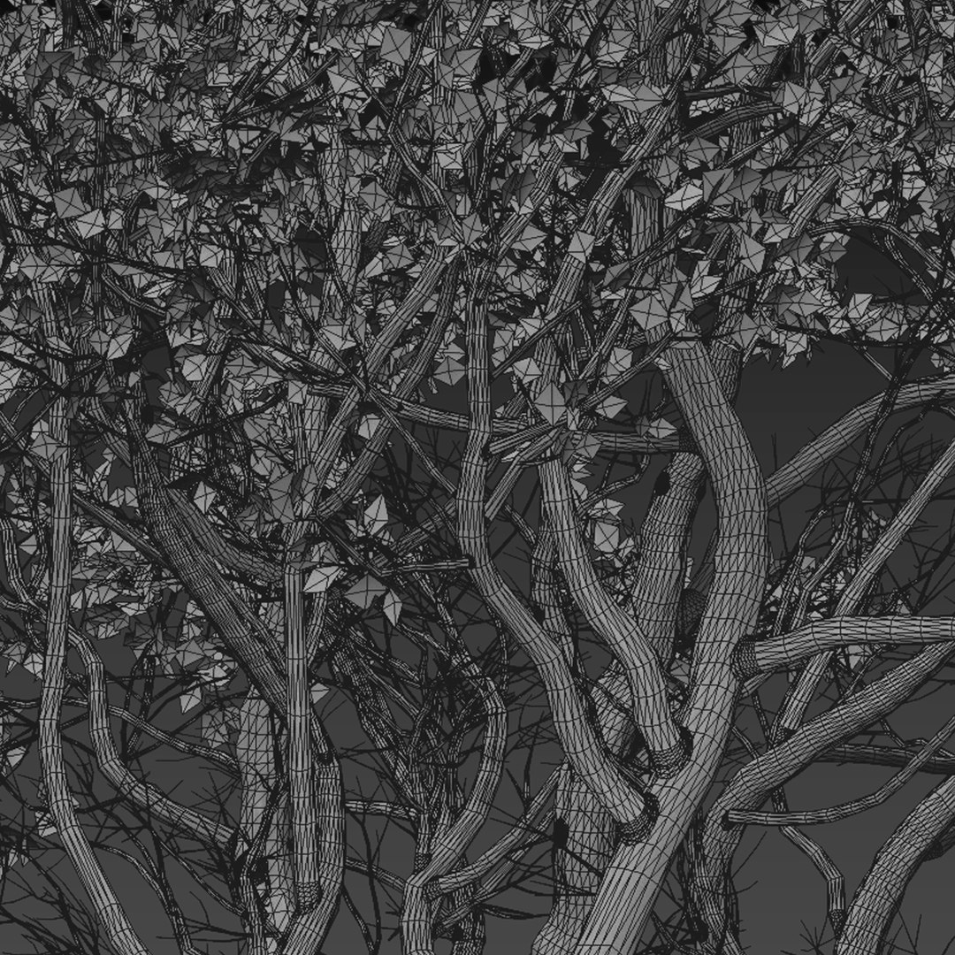 Set of Arctostaphylos or Manzanita Tree - 2 Trees 3D model https://p.turbosquid.com/ts-thumb/tf/iqlg9k/tV/arctostaphylos6t/jpg/1670922568/1920x1080/fit_q87/b63c1a72b4d8c0f4926095040bbd4a145c857c21/arctostaphylos6t.jpg