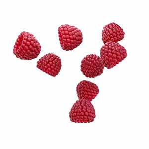 Raspberry 3D model