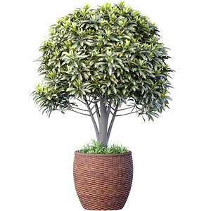 Decorative contemporary garden tree shrub in a pot vase urn rattan vase for decoration Porch