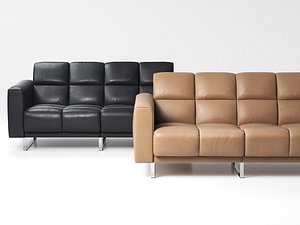 DS-580 02 2-Seater Sofa 3D