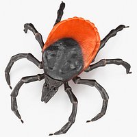 Tick Rigged for Cinema 4D