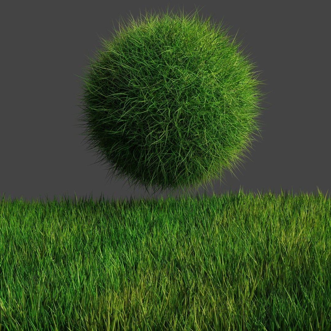 Grass in blender TurboSquid 1824361