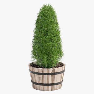 acacia hardwood planter model