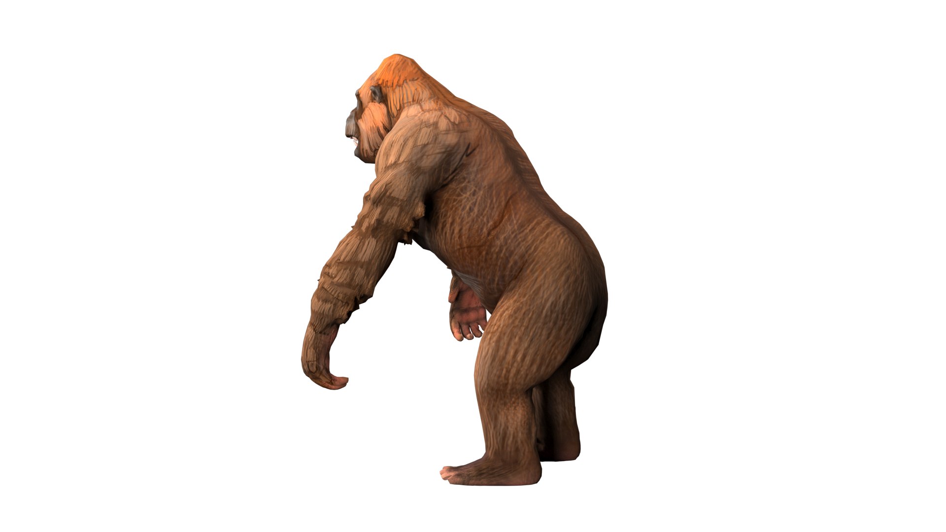 3D Gorilla Bear Rig High-poly Textured - TurboSquid 2340440